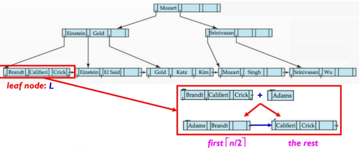 split the node